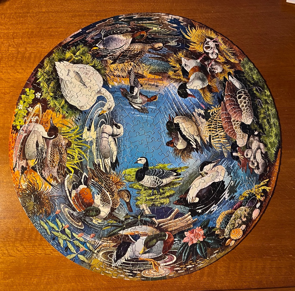 A circular illustration featuring various species of ducks and geese swimming in a central blue pond.