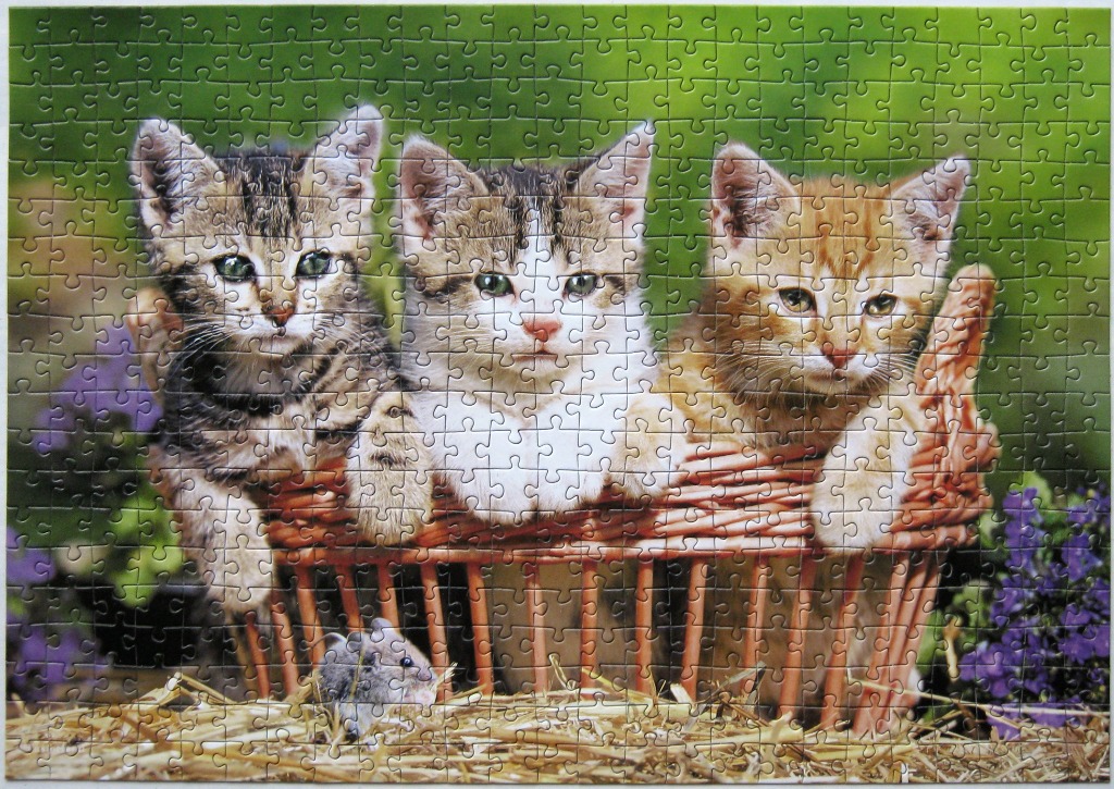 Three kittens sitting in a wicker basket with a small mouse on straw bedding against a garden background.