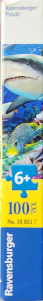 Shark Reef