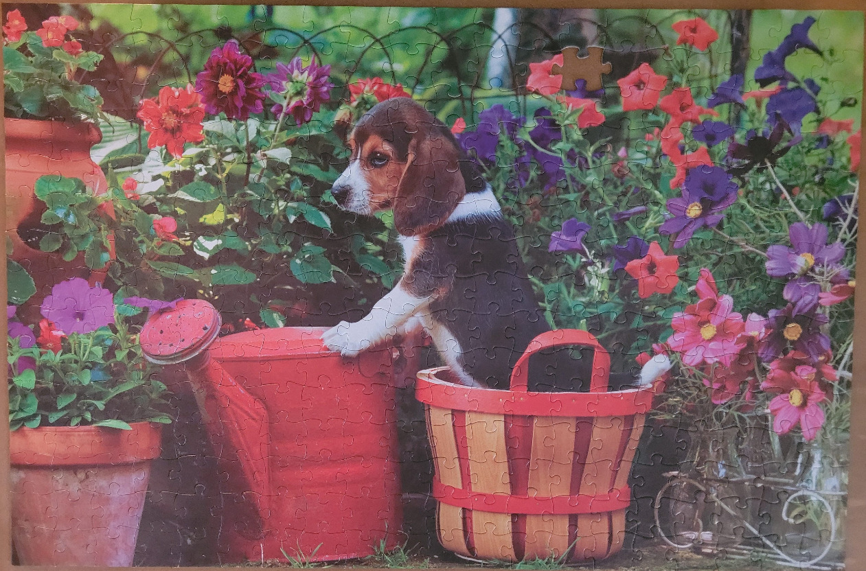 A beagle puppy sitting in a wooden basket next to a red watering can amidst colorful garden flowers.