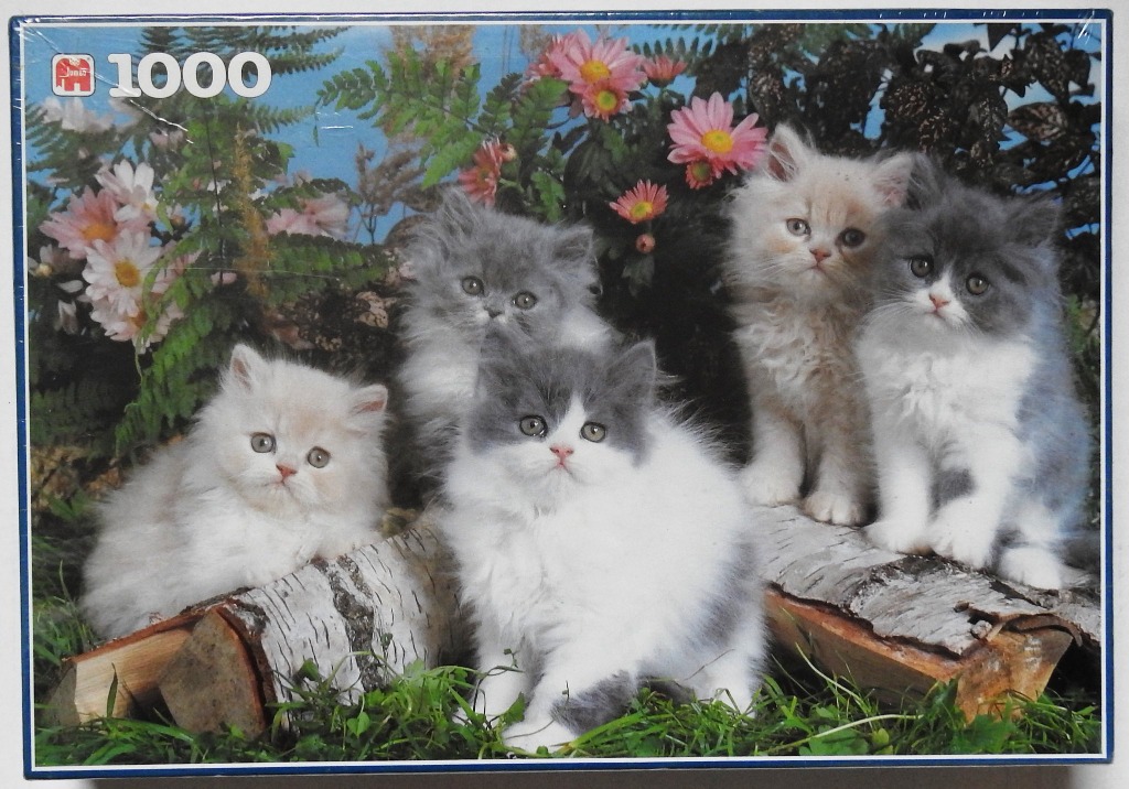 Four fluffy kittens sitting on birch logs in a garden setting with flowers.