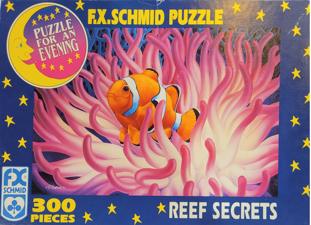 A bright orange clownfish swimming amongst the vibrant pink and white tentacles of a sea anemone.