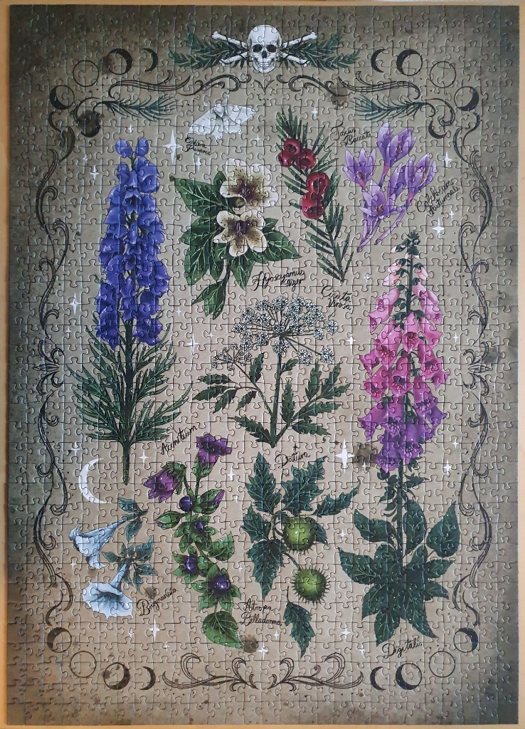 Illustration of various poisonous plants arranged like a botanical chart, framed with gothic motifs and a skull.
