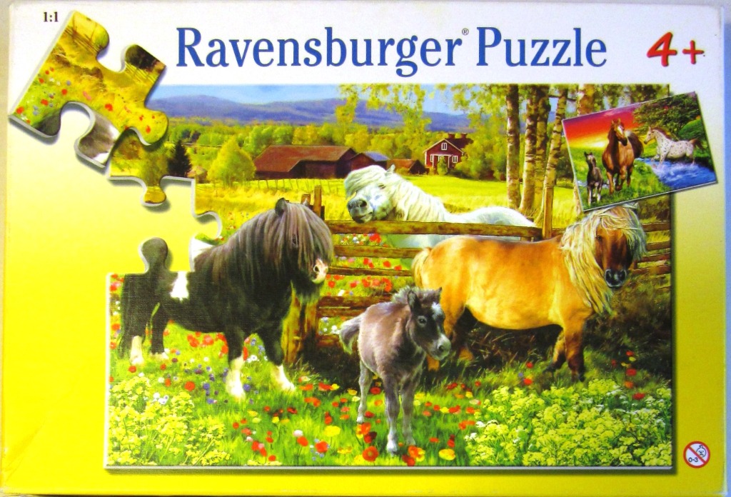 A group of four ponies grazing in a lush, flower-filled meadow in front of a rustic farm scene.