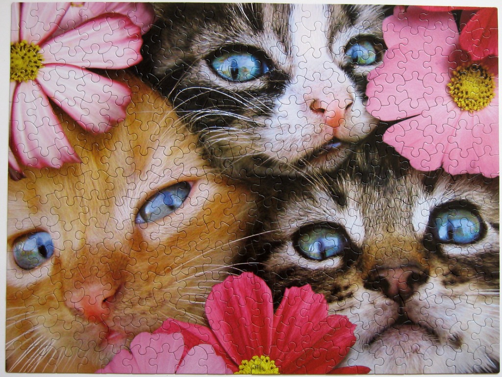 Three kittens peeking out from behind bright pink flowers