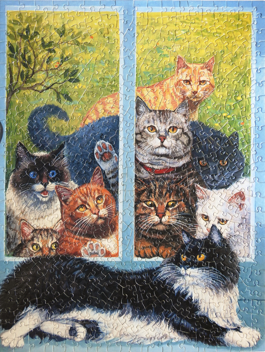 A whimsical illustration of several cats peering through a window and lounging in front of it.