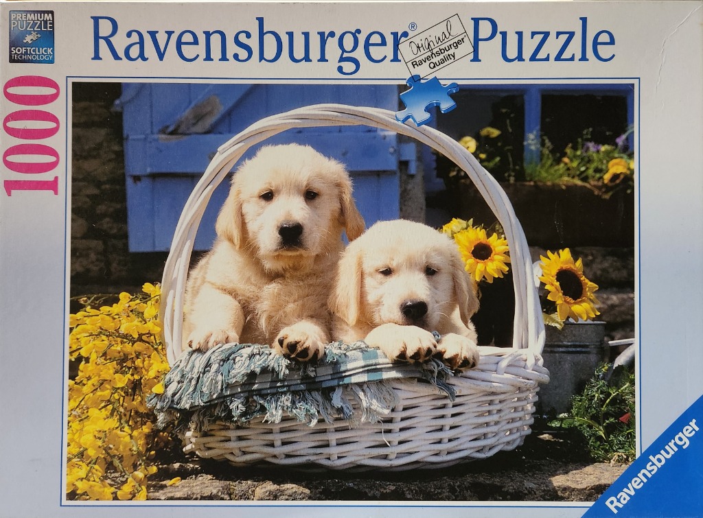 Two golden retriever puppies sitting together in a white wicker basket filled with yellow flowers.