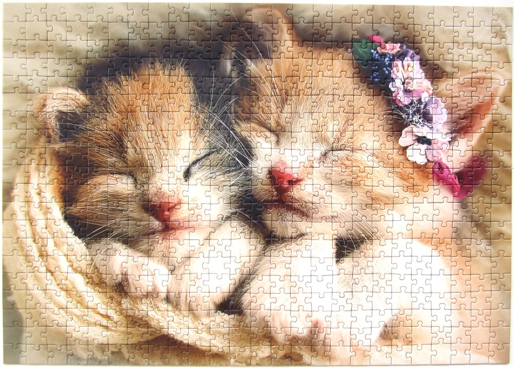 Two sleeping ginger kittens snuggled together, one wearing a small flower crown.