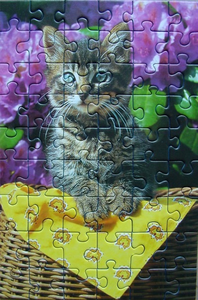 A fluffy tabby kitten sitting in a wicker basket on a yellow patterned cloth, framed by purple flowers.