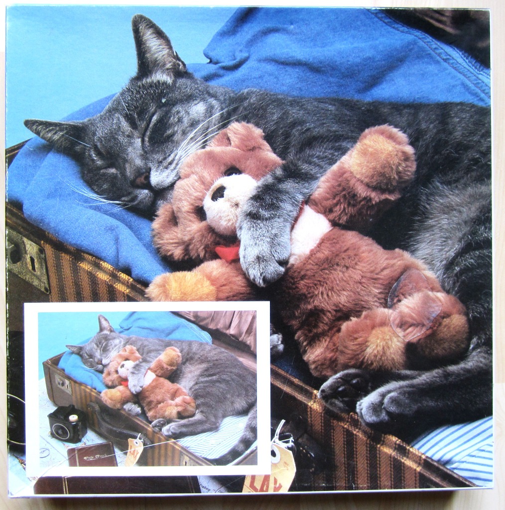 A grey cat sleeping and cuddling a plush teddy bear inside a vintage suitcase.