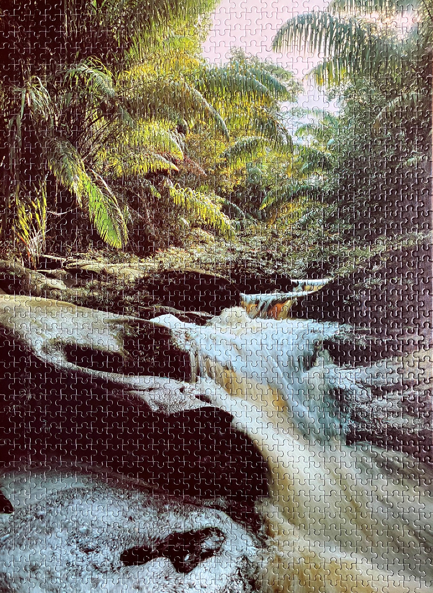 A lush tropical jungle scene featuring a small waterfall cascading over dark rocks into a pool.