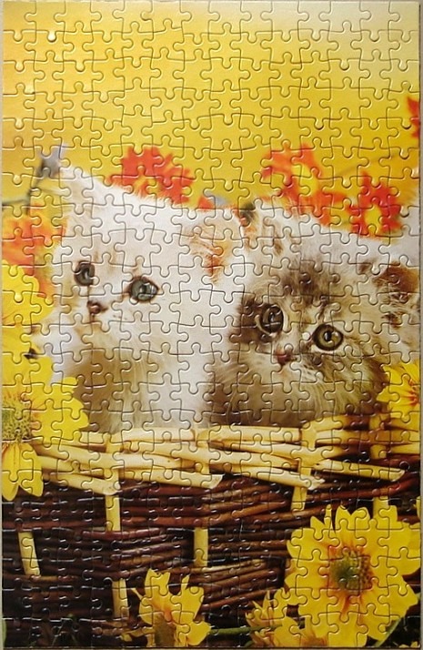 Two fluffy kittens sitting in a woven basket surrounded by sunflowers.