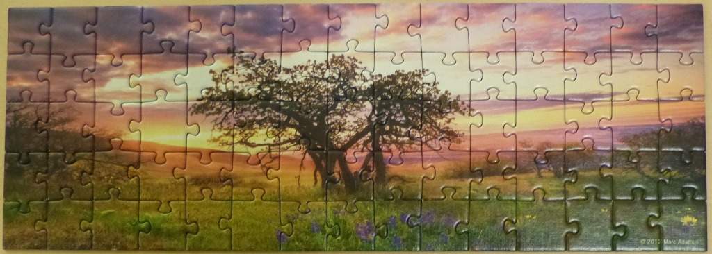 A panoramic photograph of a silhouetted tree in a grassy field under a vibrant purple and orange sunset.