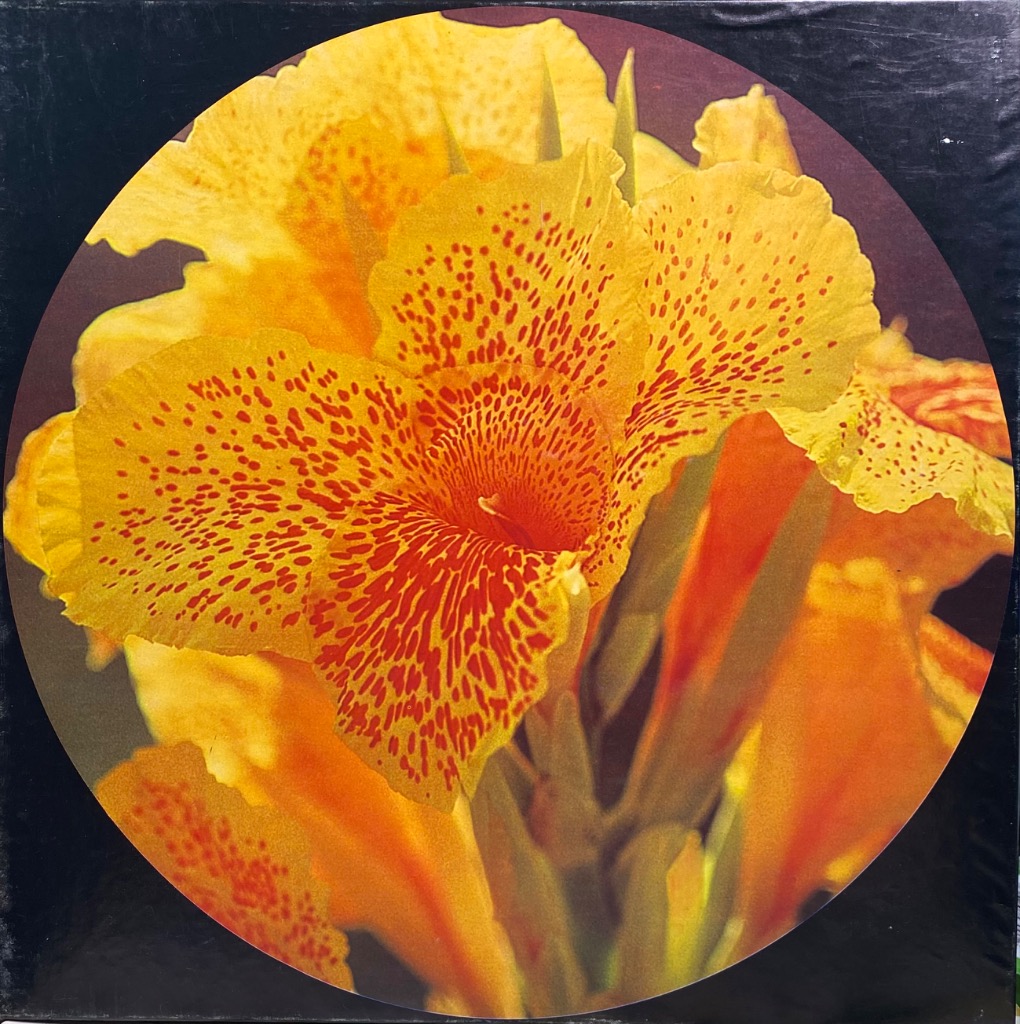 A close-up, circular photographic image of a vibrant yellow and orange Canna lily with red speckling.
