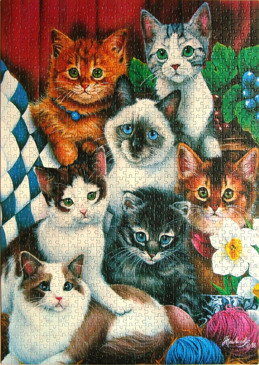 An illustration of seven kittens of various breeds huddled together in a cozy setting.