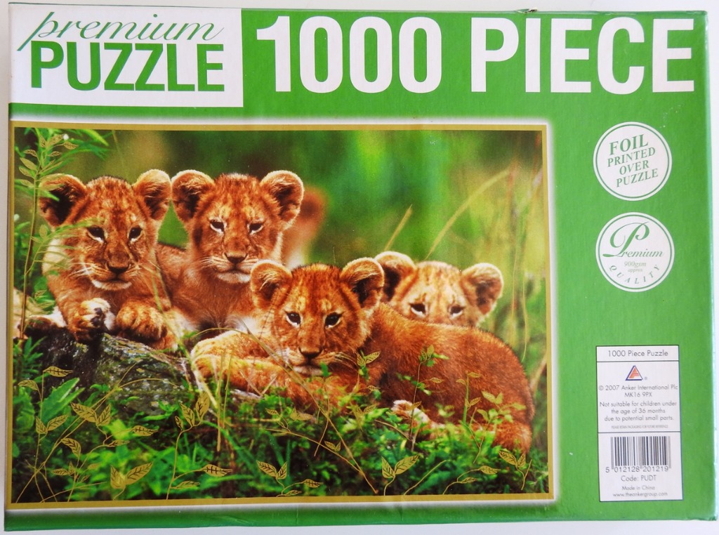 Lion Cubs