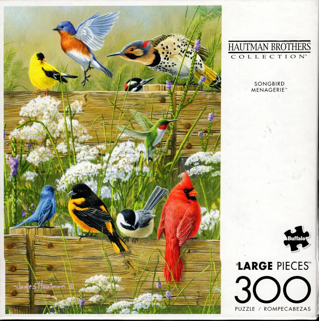A collection of colorful songbirds perched on and flying around a rustic wooden fence in a meadow.