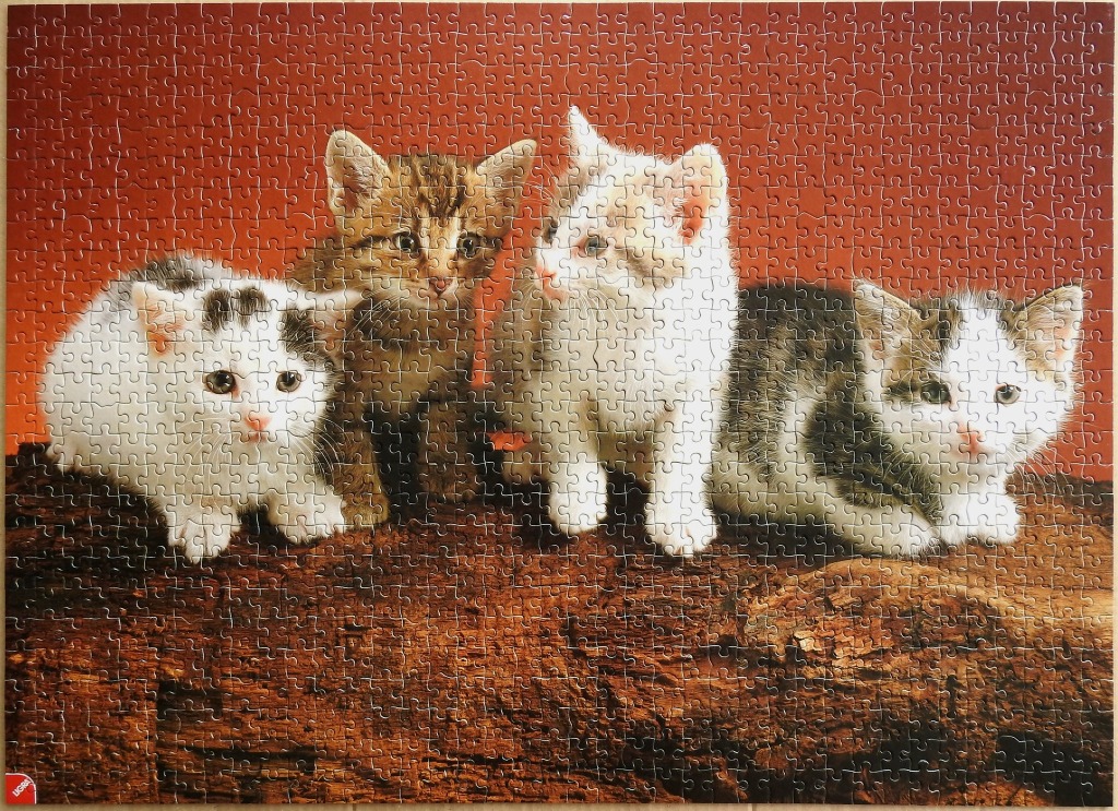 Four kittens of different colors and patterns sitting in a row on a piece of rough, dark brown bark.
