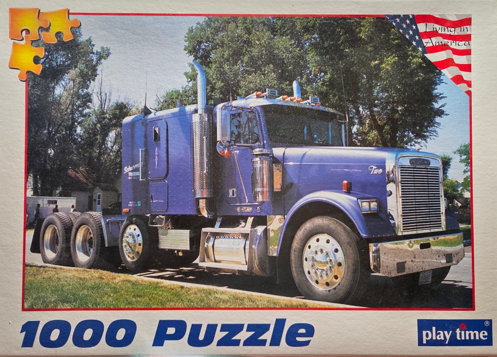 A blue Freightliner semi-truck parked on a grassy verge on a sunny day.