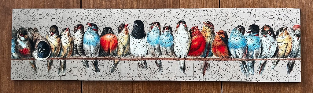 A panoramic illustration of a row of diverse birds perched on a single branch against a gray background.