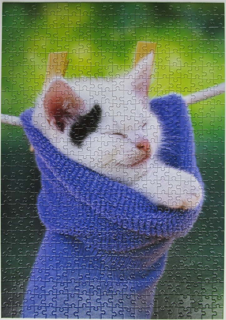 A small white kitten with a black spot over its eye sleeping inside a blue knit sock hung on a clothesline.