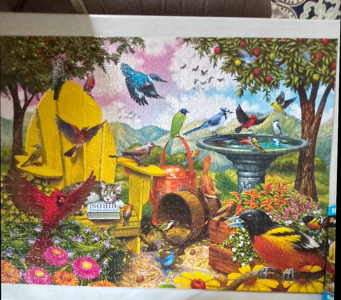 A vibrant garden scene filled with various colorful birds, a yellow Adirondack chair, and a stone birdbath.