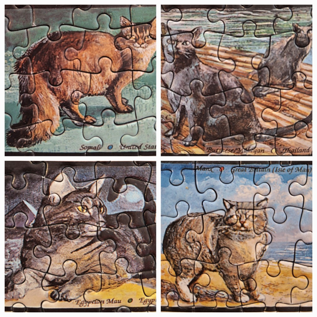A collage of four vintage-style illustrations of different cat breeds.