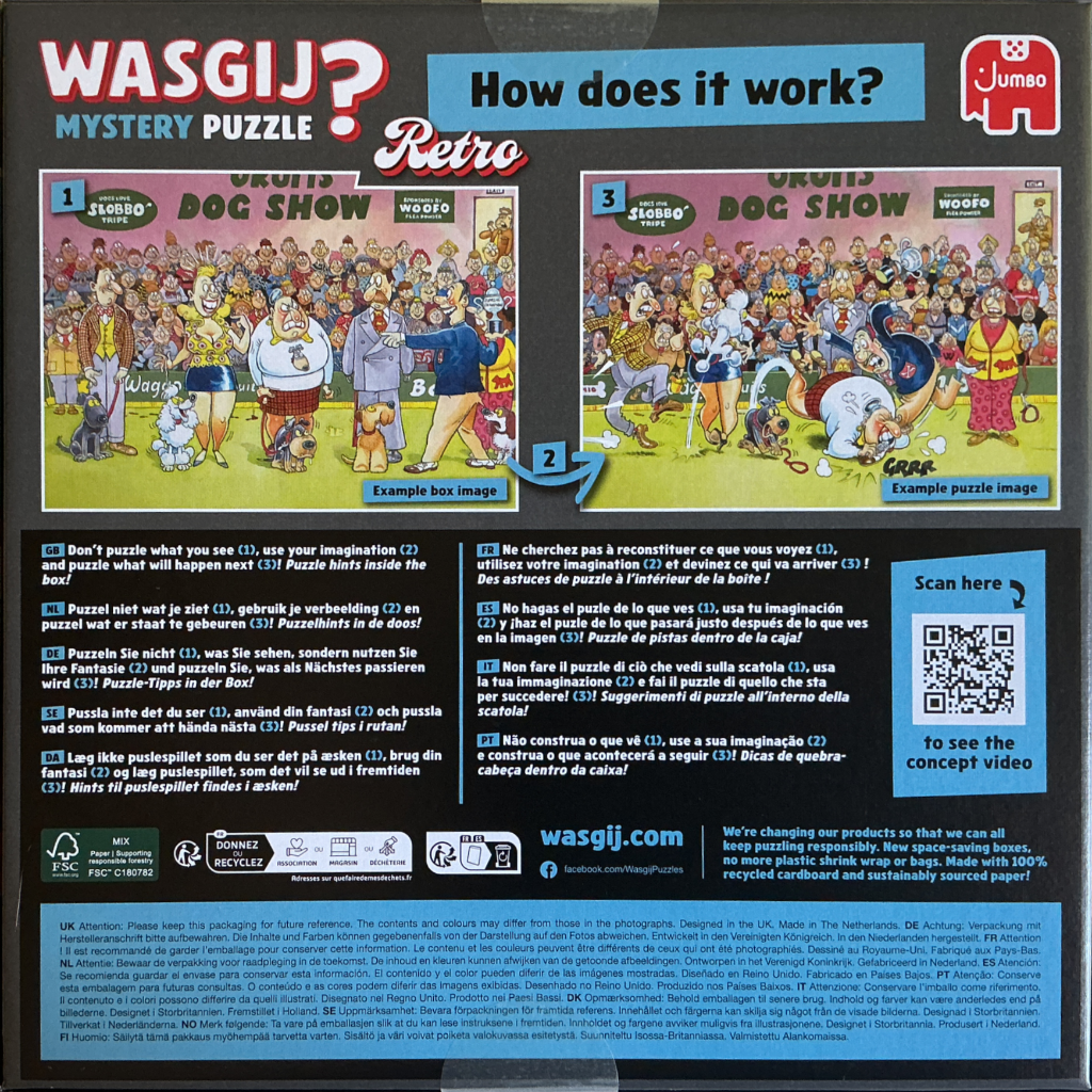 Wasgij Mystery #9 Great Train Robbery!