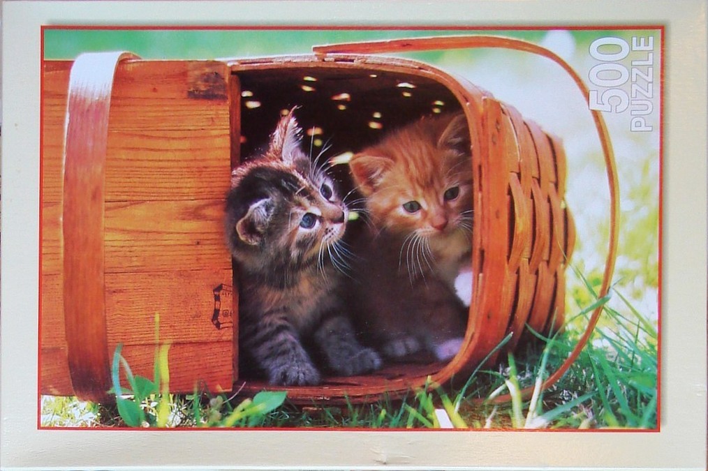 Two kittens sitting inside a wooden woven basket in the grass