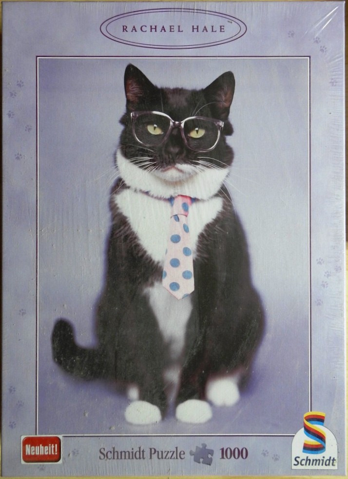A tuxedo cat wearing oversized clear-rimmed glasses and a light pink polka-dot necktie.