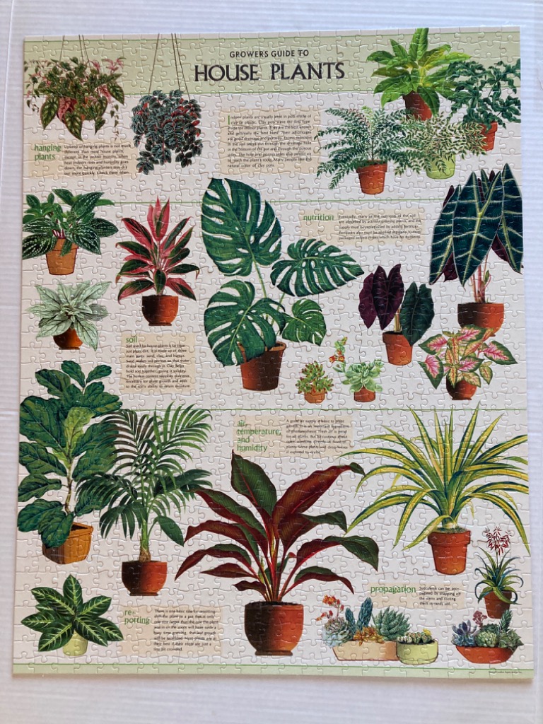 A botanical educational poster illustration featuring various potted house plants and care instructions.