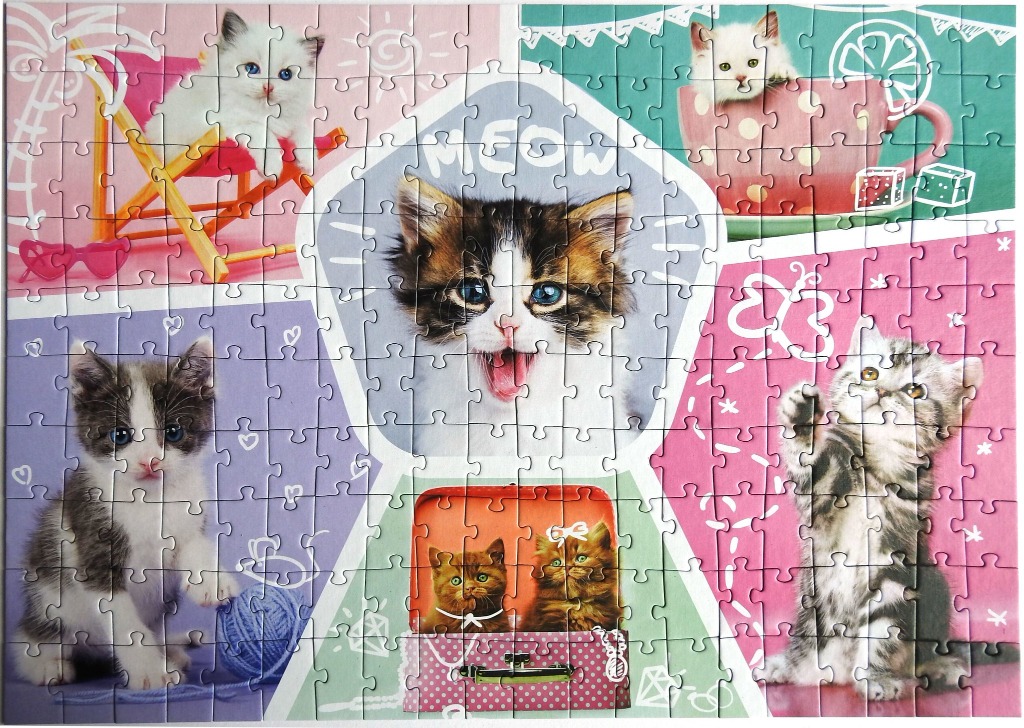 A collage of five playful kitten illustrations on a pastel-colored background.