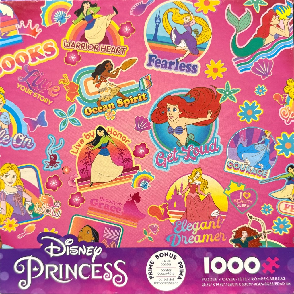 A collage of Disney princess illustrations against a bright pink background with flowers, seashells, and motivational text.