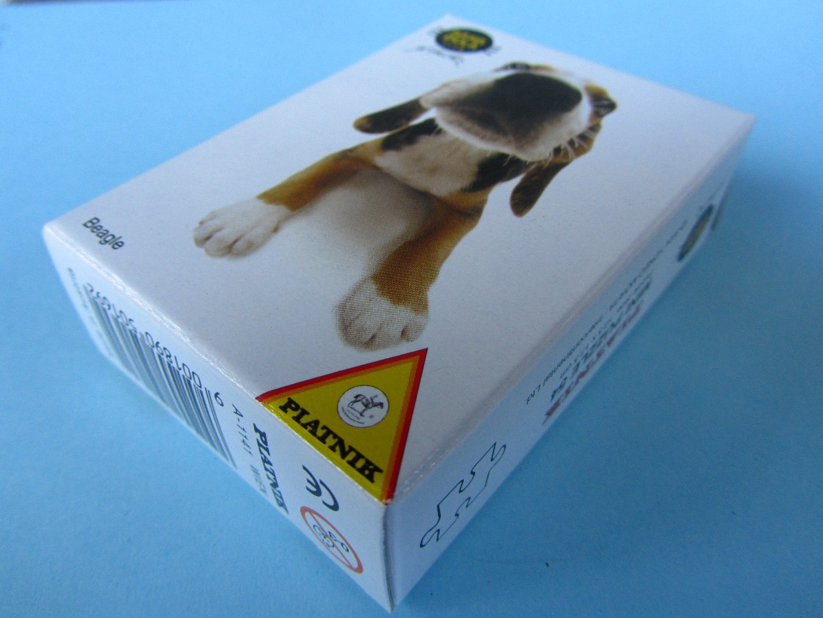Beagle