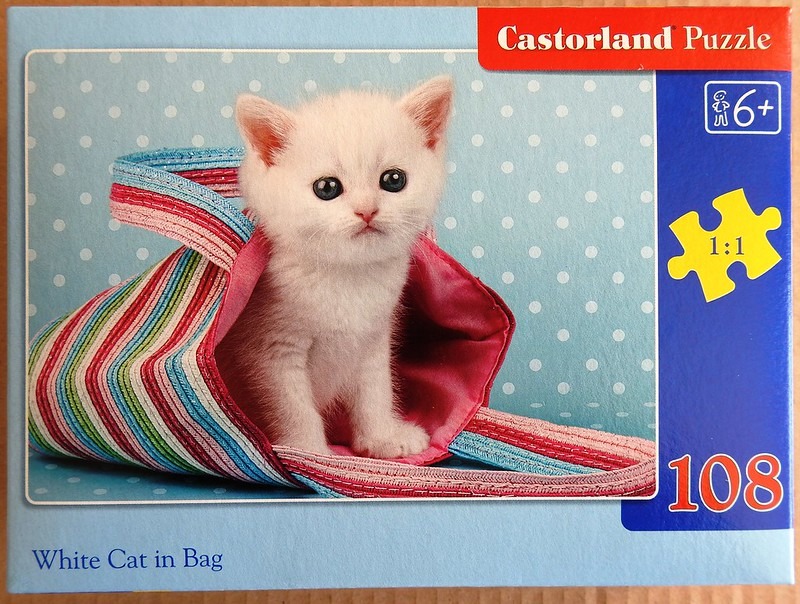 A fluffy white kitten sitting inside a colorful striped handbag against a light blue polka-dot background.