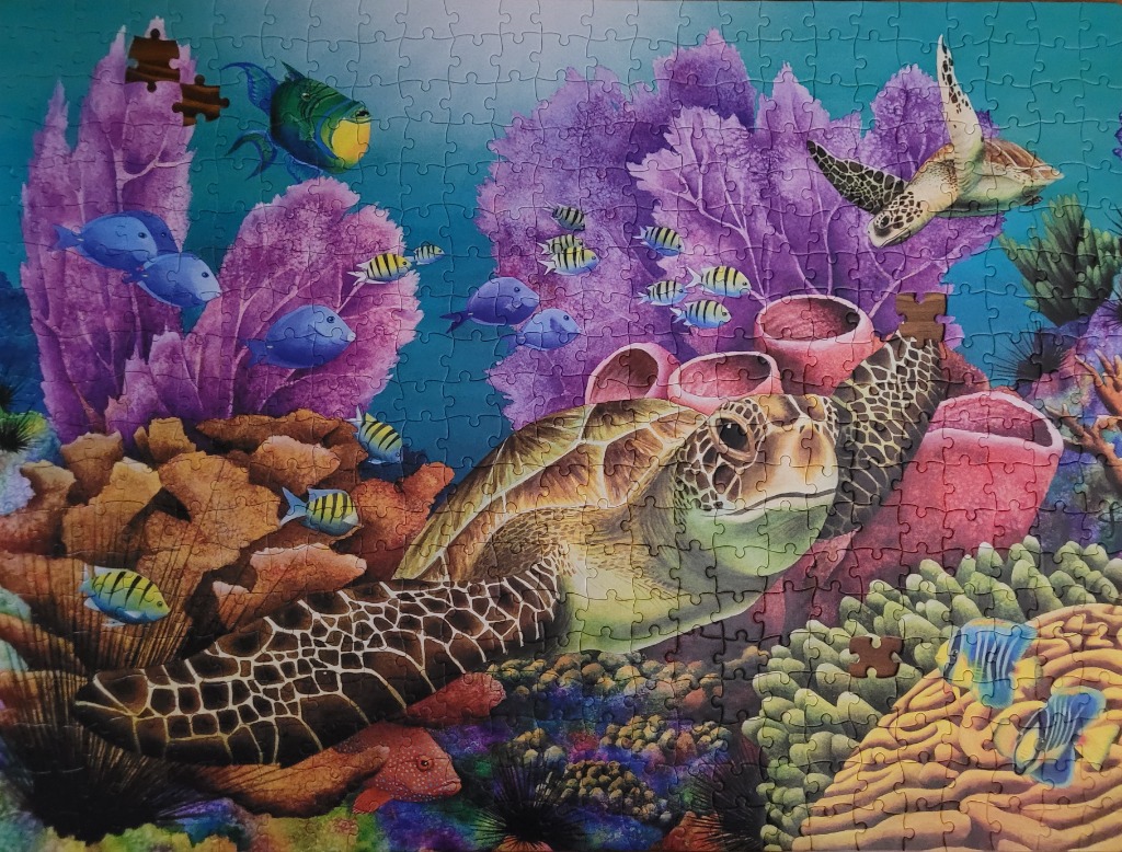 A detailed illustration of a sea turtle swimming through a vibrant coral reef filled with colourful tropical fish.