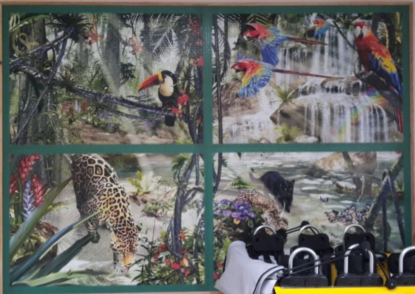 A four-panel collage of tropical rainforest scenes featuring macaws, a toucan, a jaguar, and a panther.