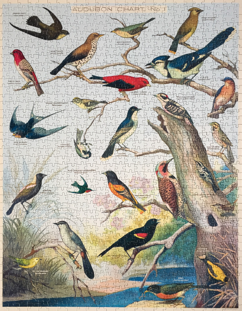 A vintage-style illustration titled Audubon Chart No. 1 featuring various North American birds in a nature setting.