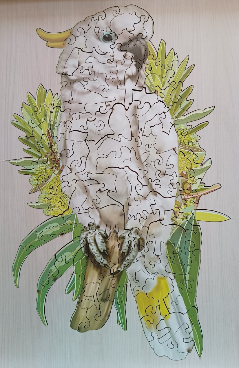 A white cockatoo perched on a branch with green leaves and yellow flowers against a light wood background.