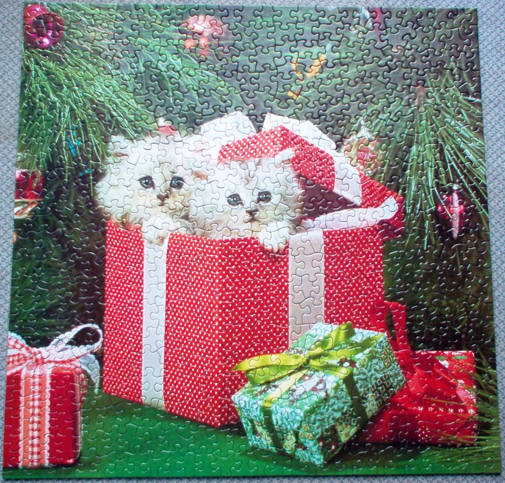 Two fluffy white kittens sitting in a red Christmas gift box under a tree