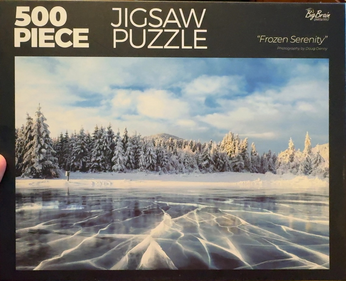 A frozen lake with intricate white ice cracks in the foreground and a snow-covered pine forest in the background.