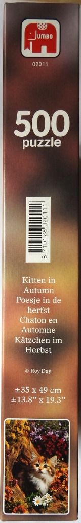 Kitten in Autumn