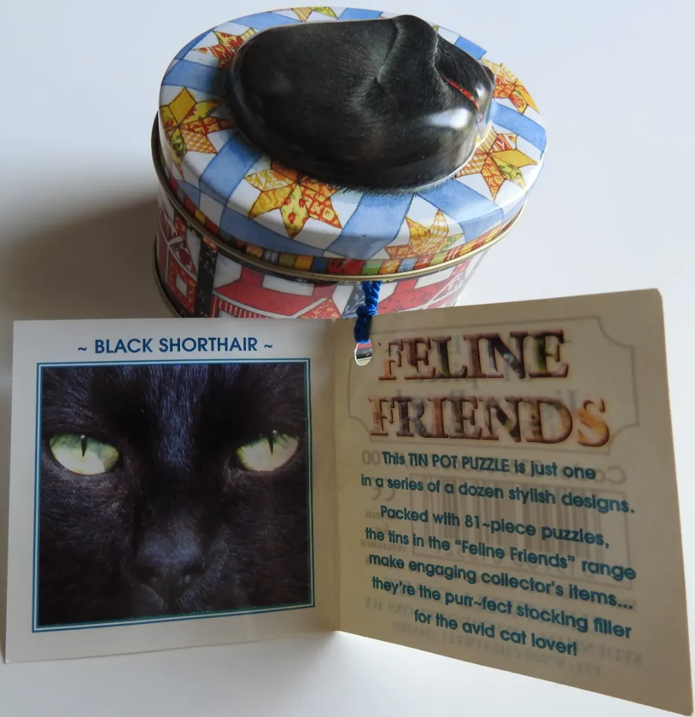 Black Shorthair
