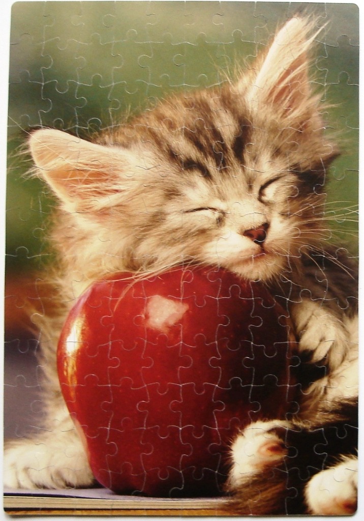 A close-up photograph of a fluffy kitten napping with its head resting on a shiny red apple.