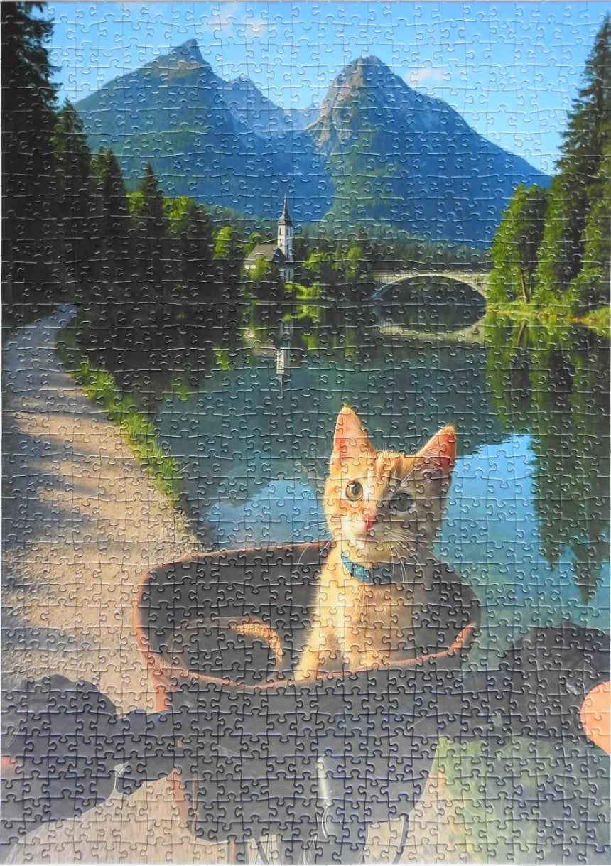 Ginger kitten in a bicycle basket before a reflective lake and mountain landscape.