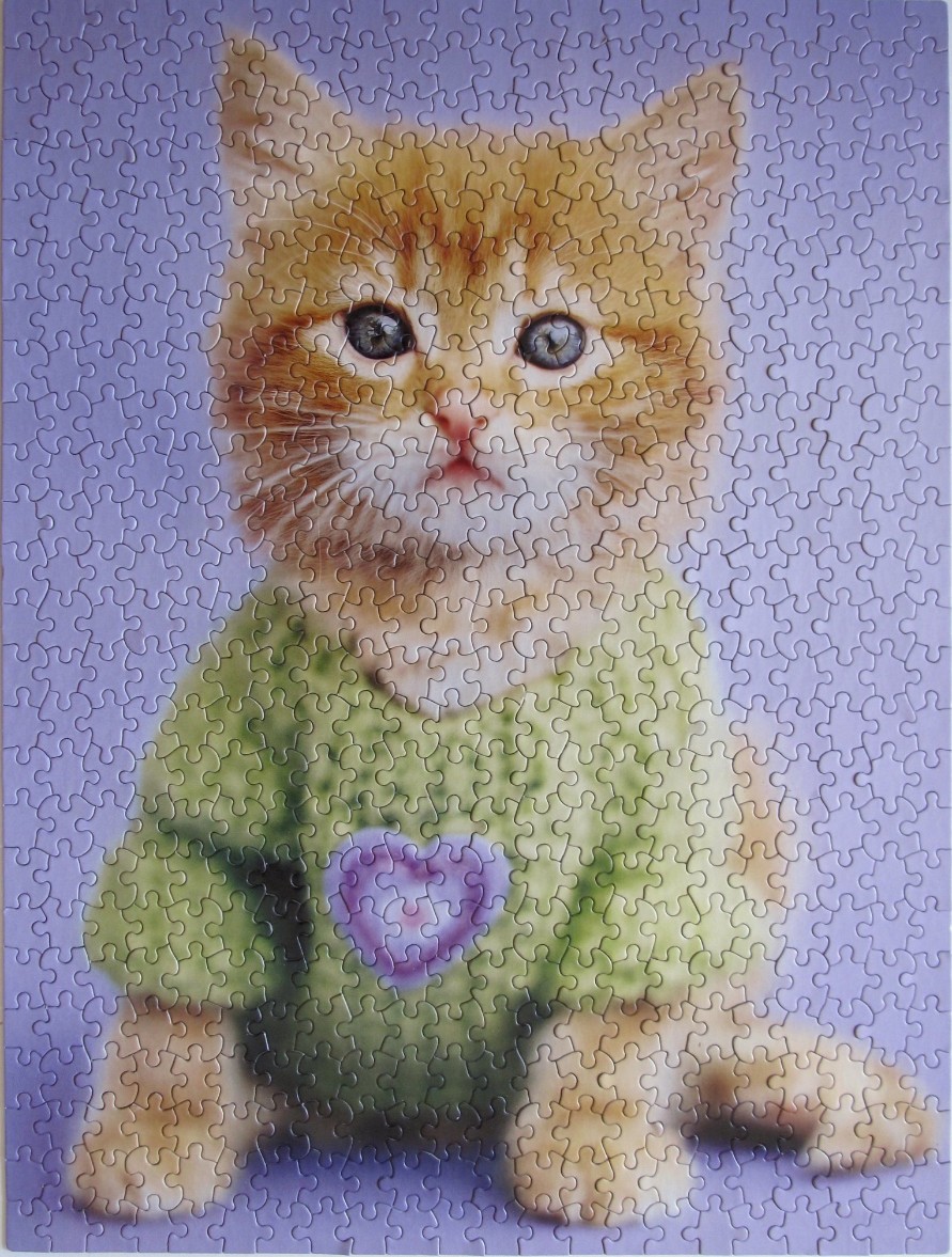 A close-up portrait of a ginger tabby kitten wearing a green knitted sweater with a purple heart icon.