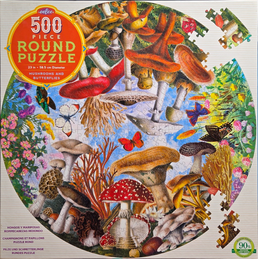 A round illustration of diverse mushrooms and colorful butterflies