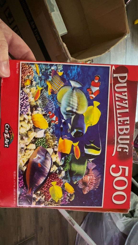 Busy Fish