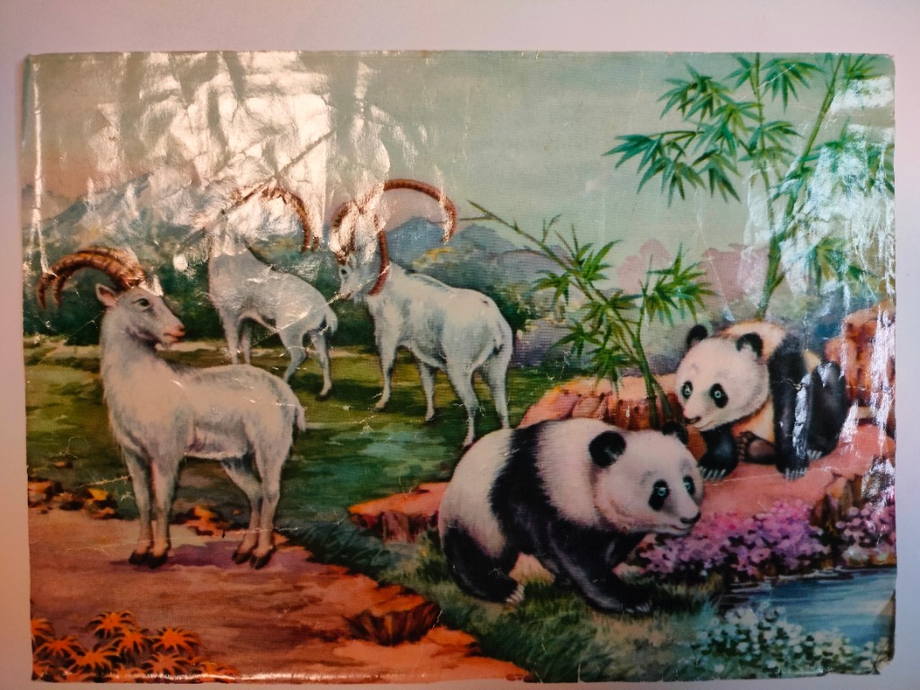 A whimsical illustration featuring three white mountain goats and two pandas in a stylized landscape.
