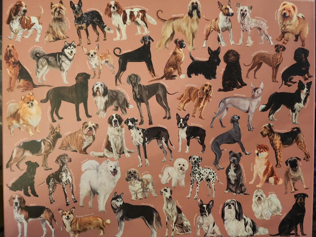 A collection of various dog breeds illustrated on a muted reddish-brown background.